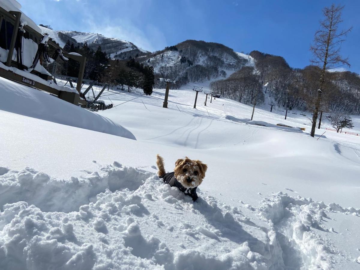 Hotel 白馬パウダーマウンテン Hakuba Exterior foto